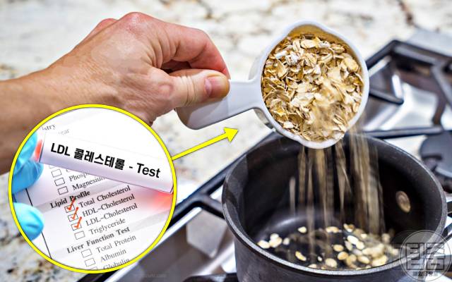 콜레스테롤 낮추는 음식 오트밀 효능