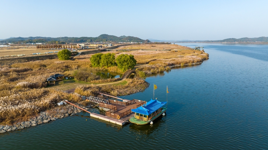 충남 서천 신성리갈대밭