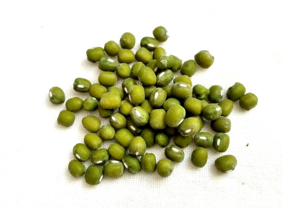 껍질이 선명한 초록색을 띠는 작고 단단한 녹두 알갱이들