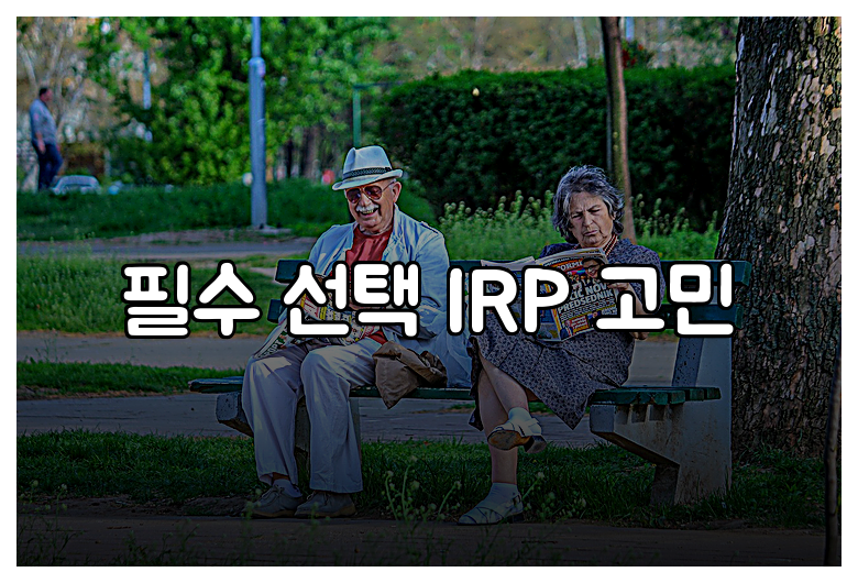 필수 선택 IRP 고민