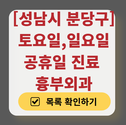 성남시 분당구 주말 토요일 일요일 흉부외과 진료 병원 목록 ❘ 공휴일 진료 영업 병원 리스트 찾기