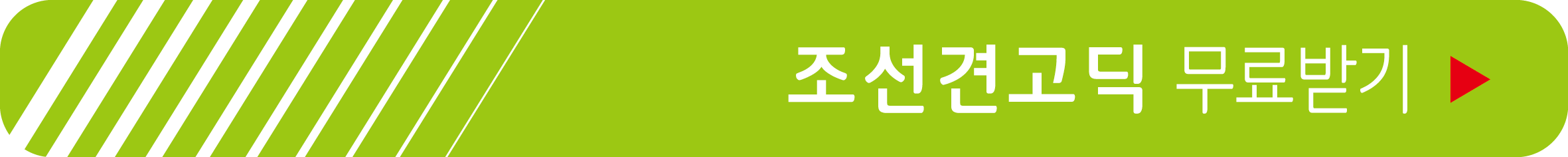 조선견고딕 무료 받기