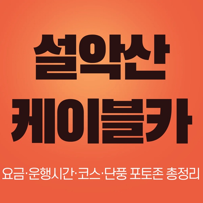 설악산 케이블카|요금·운행시간·코스·단풍 포토존 총정리