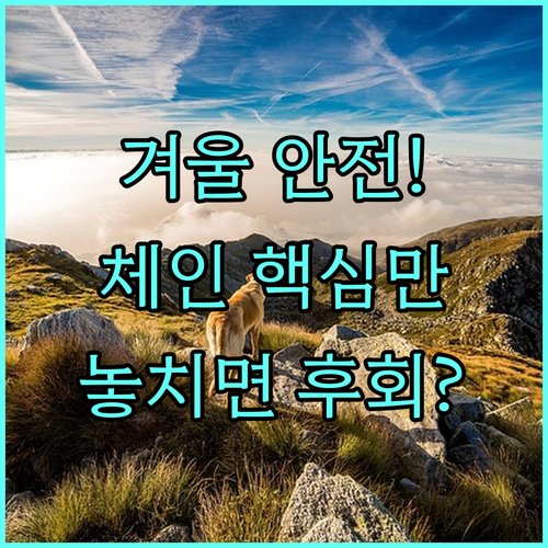 안전을 위한 스노우체인 올바른 선택 ..