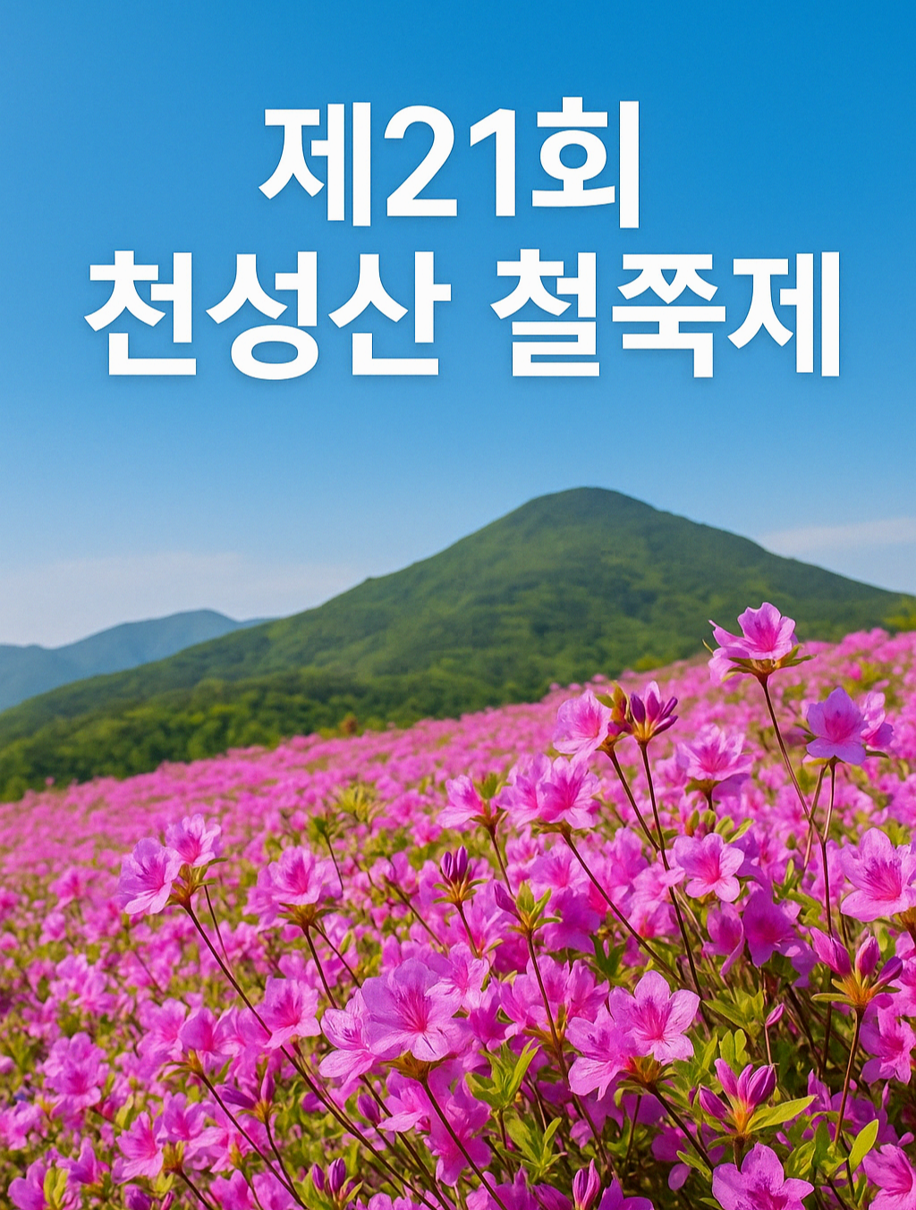 [6월 축제]제21회 양산 천성산 철쭉제❘기간, 일정, 프로그램 정리