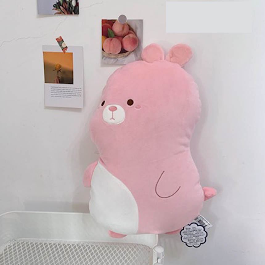 해외 대학교 입학 관련 정리