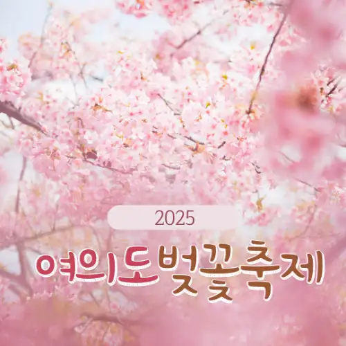 2025 여의도 벚꽃축제