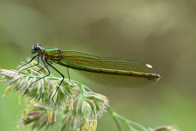 민생지원금 사용지역 