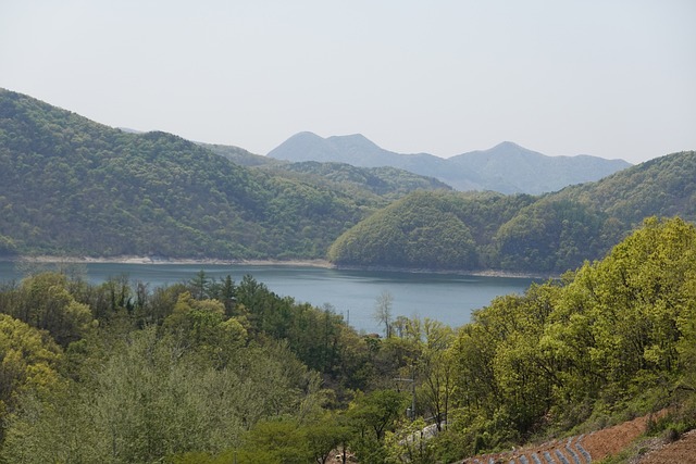 산림기사 응시자격