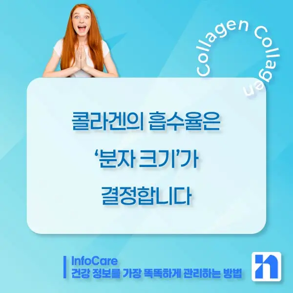 저분자 콜라겐 효능, 흡수율, 섭취방법, 먹는 시간