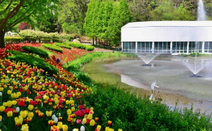 꼭 가야하는 축제 BEST 5곳