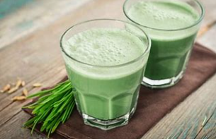 새싹보리 효능과 새싹보리 분말 먹는법