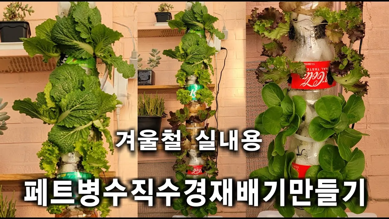 수경재배 준비 병선택 뿌리관리 액비투여 물갈이주기 가이드_3
