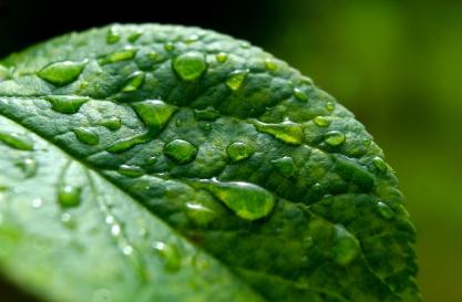 비 오는 날 아기 컨디션이 바뀌는 이유