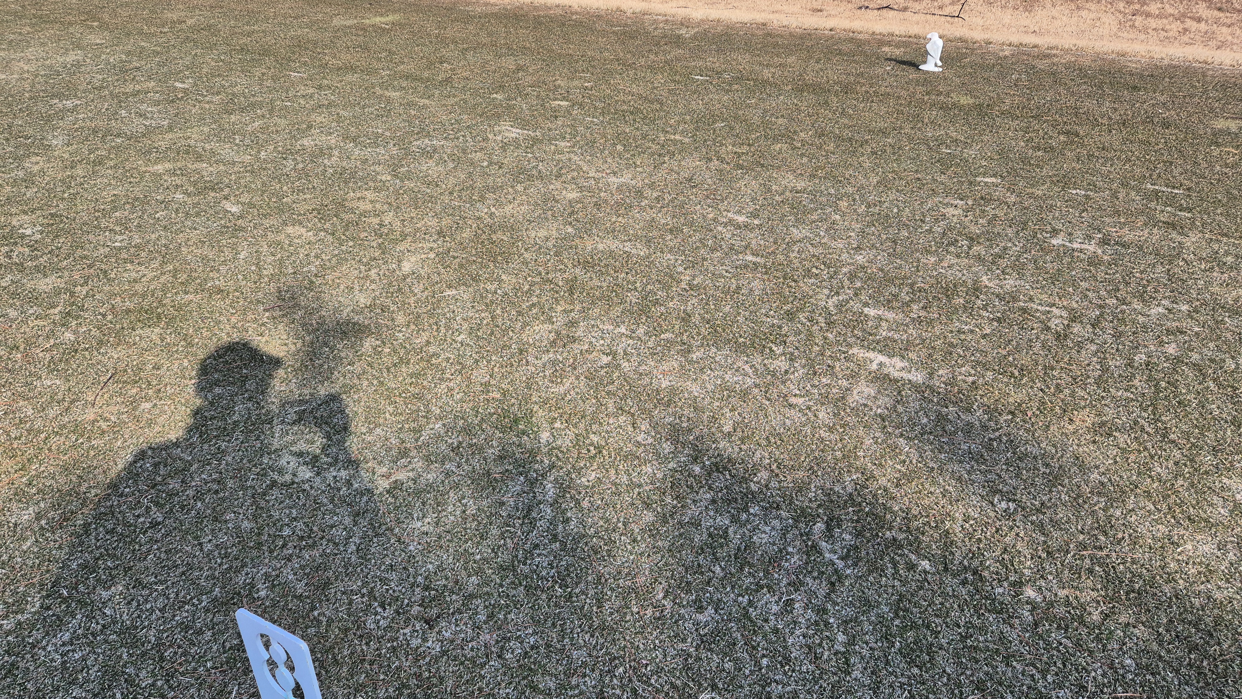 이글몬트cc 히든-이글 코스 라운드 후기