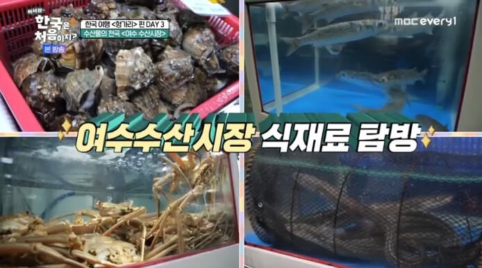 어서와-한국은-처음이지-헝가리-여수