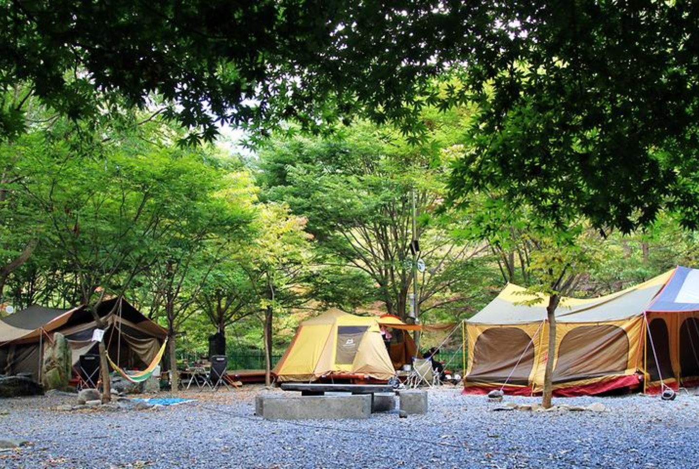 성주산-자연휴양림-전경