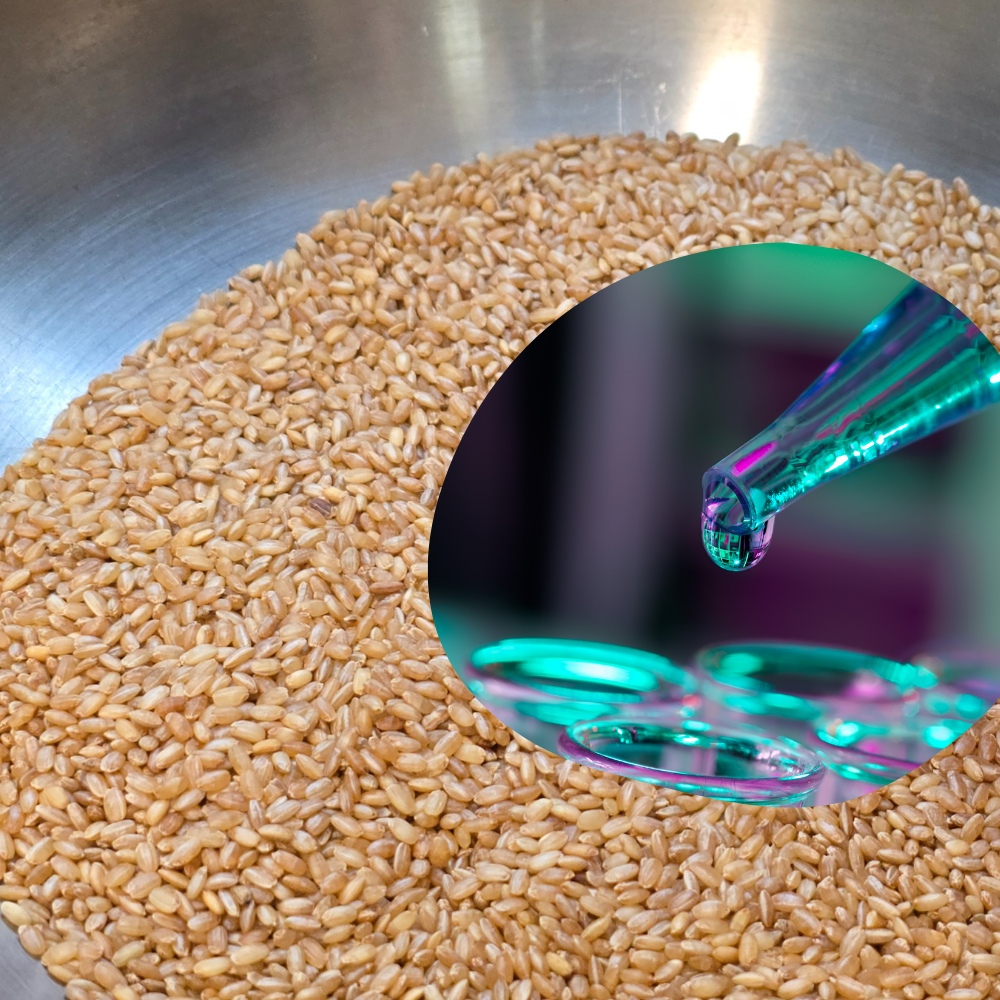 건강에 좋은 현미차