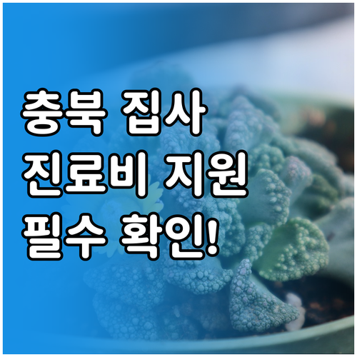 충청북도 반려묘 진료비 지원금 신청 ..