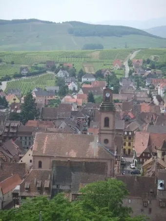 알자스 숨겨진 마을 독일 프랑스 퓨전 요리 맛집_18