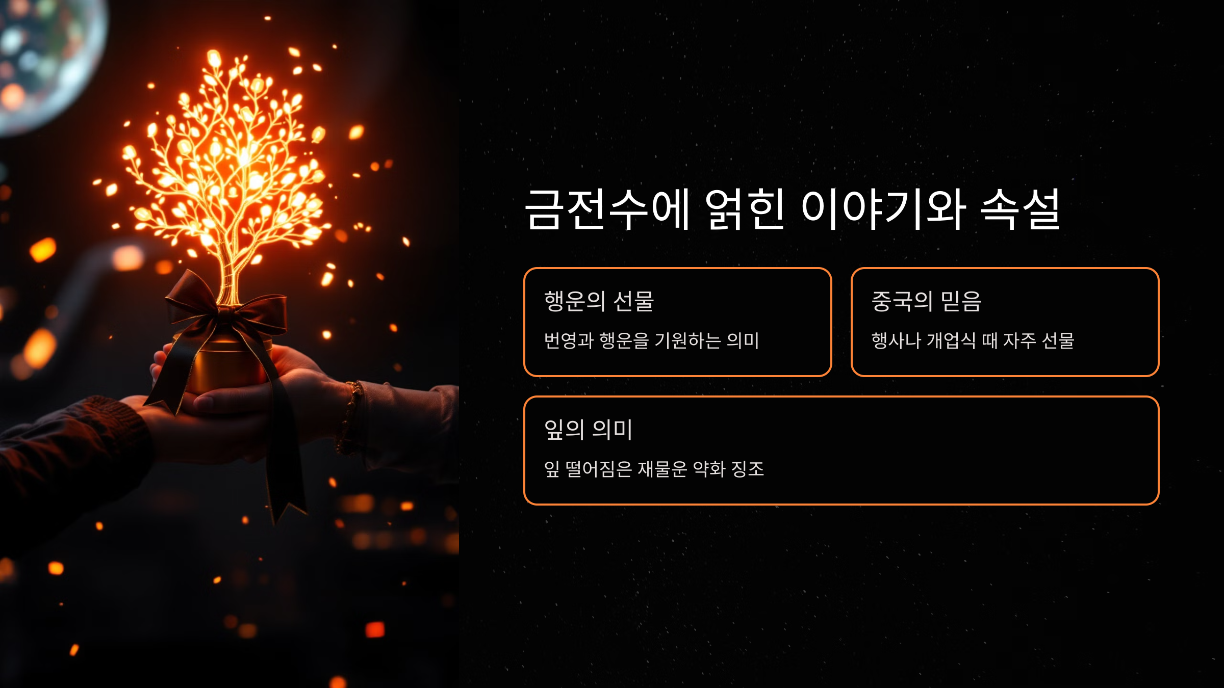 금전수에 얽힌 이야기와 속설