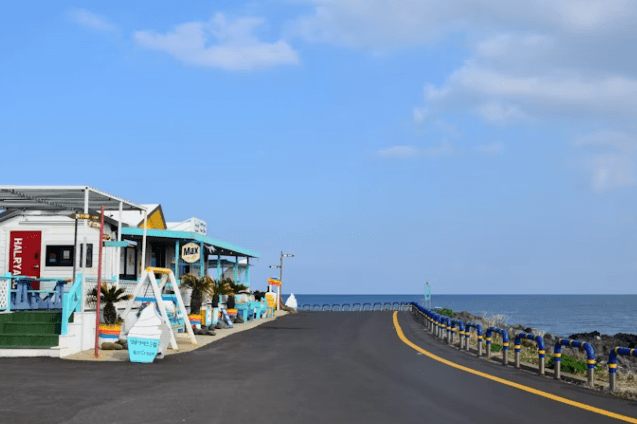 차량 운행 풀린 우도, 여행 전 필수 체크리스트