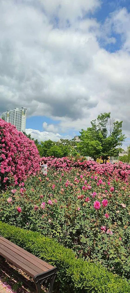 중촌체육공원