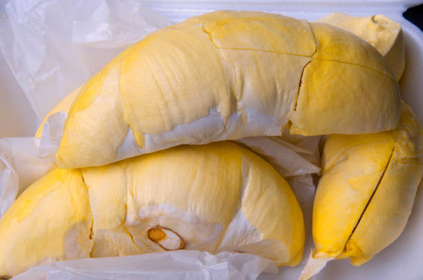 두리안 효능&amp;#44; 냄새 이유는 무엇일까요? 두리안은 직접 먹으면 매우 맛있지만 냄새는 상상 그 이상으로 지독하다고 알려져 있습니다. 냄새 이유와 두리안 칼로리 등 두리안에 대해 알아봤습니다. 참고하세요~