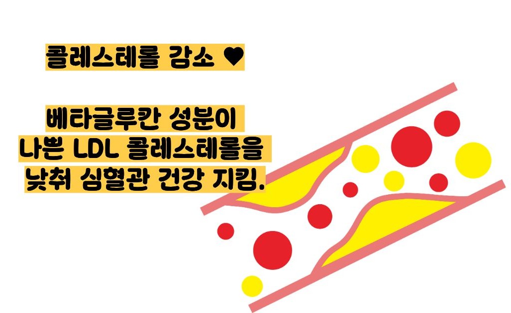 귀리 효능과 부작용