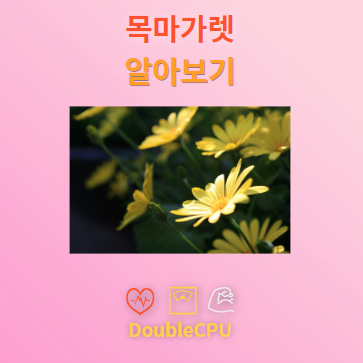 목마가렛 탐구