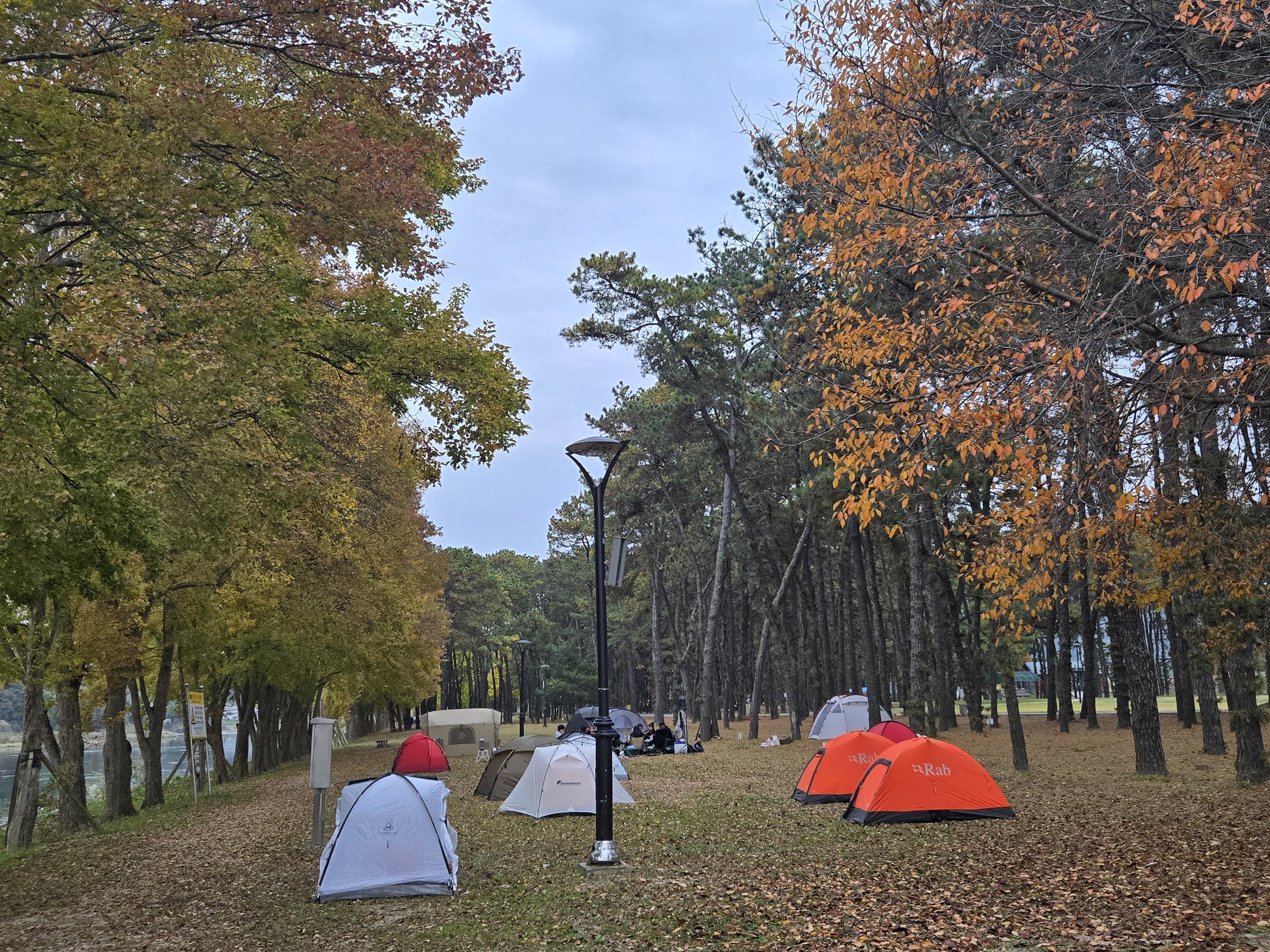 송호공원 캠핑장