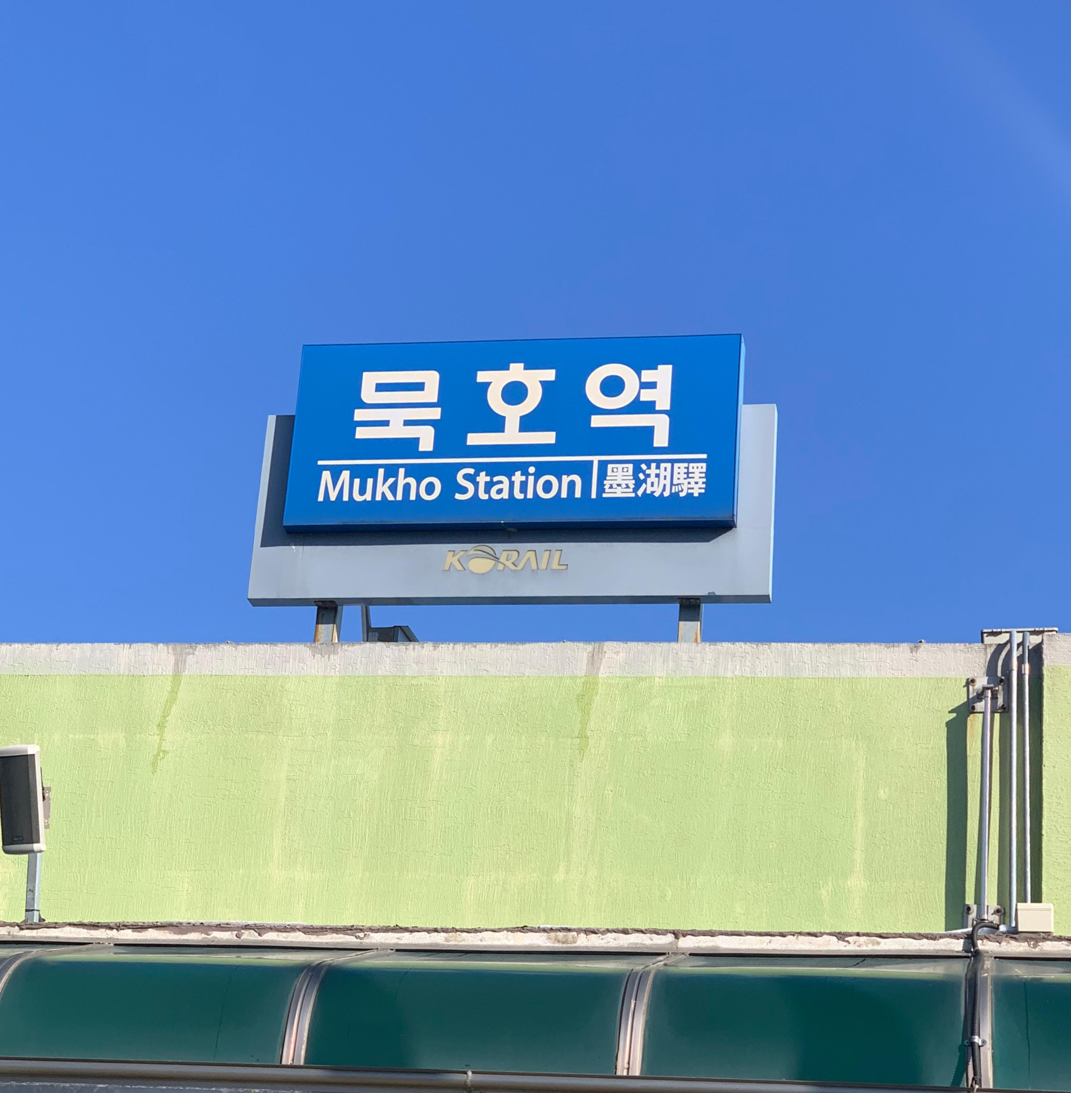 묵호 거북이횟집 곰치국 후기 내돈내산