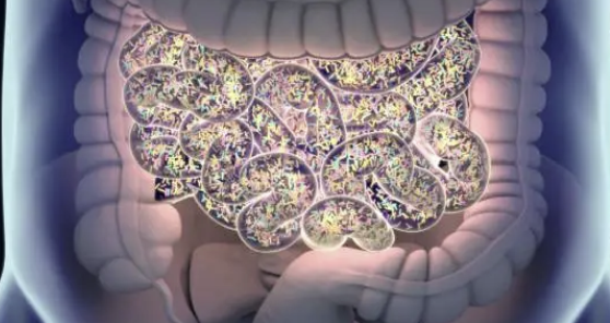 Microbiome-derived metabolite profiling &ndash; 항암제 반응성과 장내 대사체 상관성