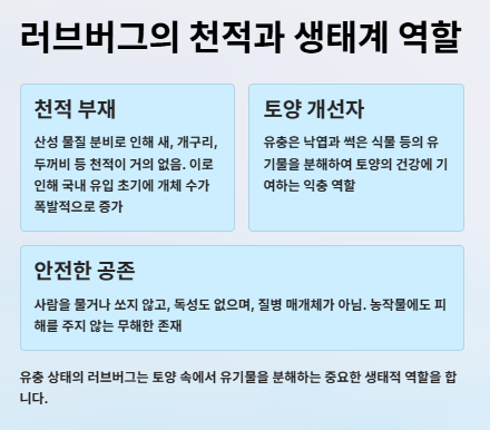 러브버그 수명&amp;#44;원산지&amp;#44;출몰시기&amp;#44;퇴치방법 및 예방방법