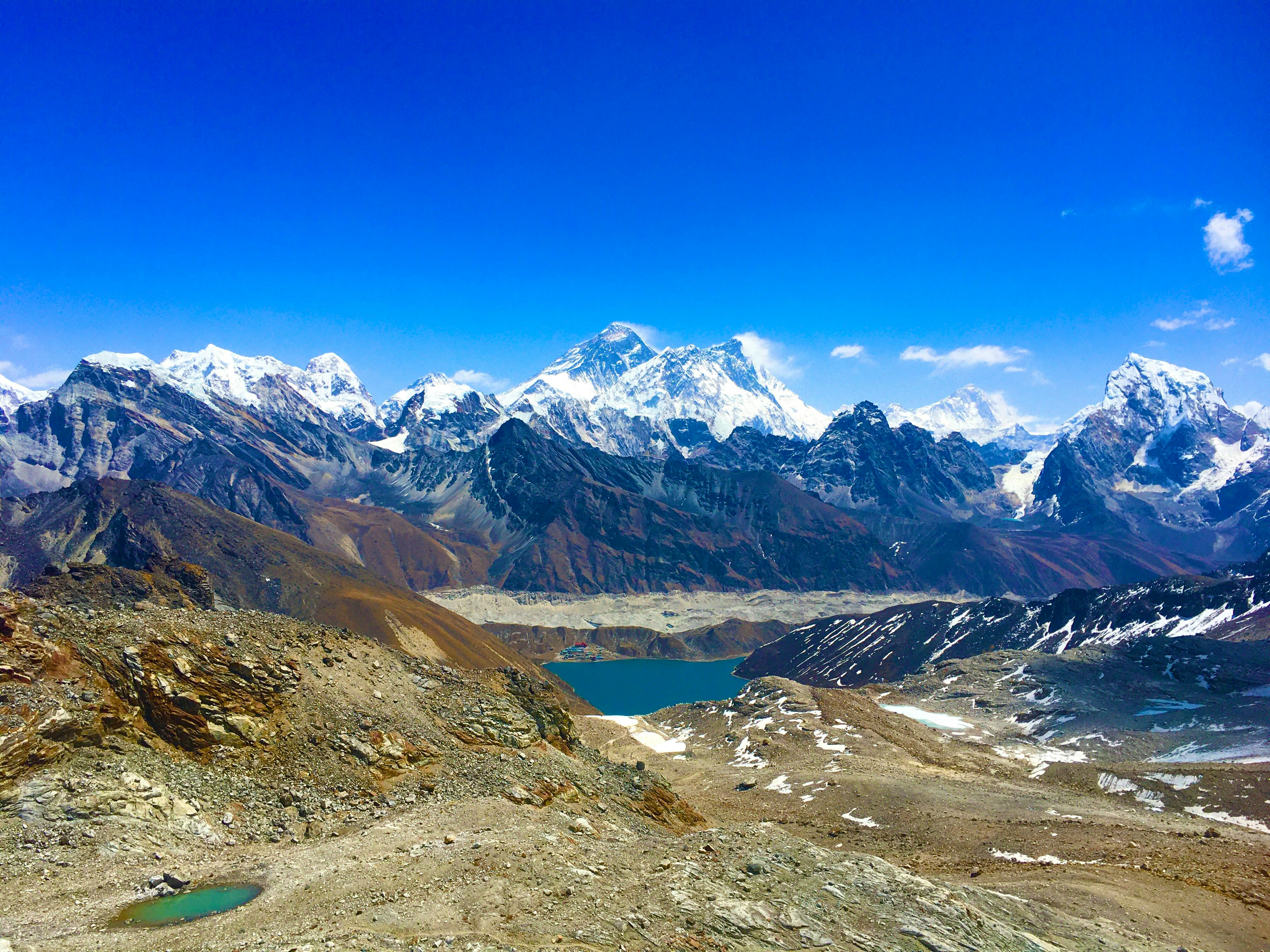 태어난 김에 시즌4