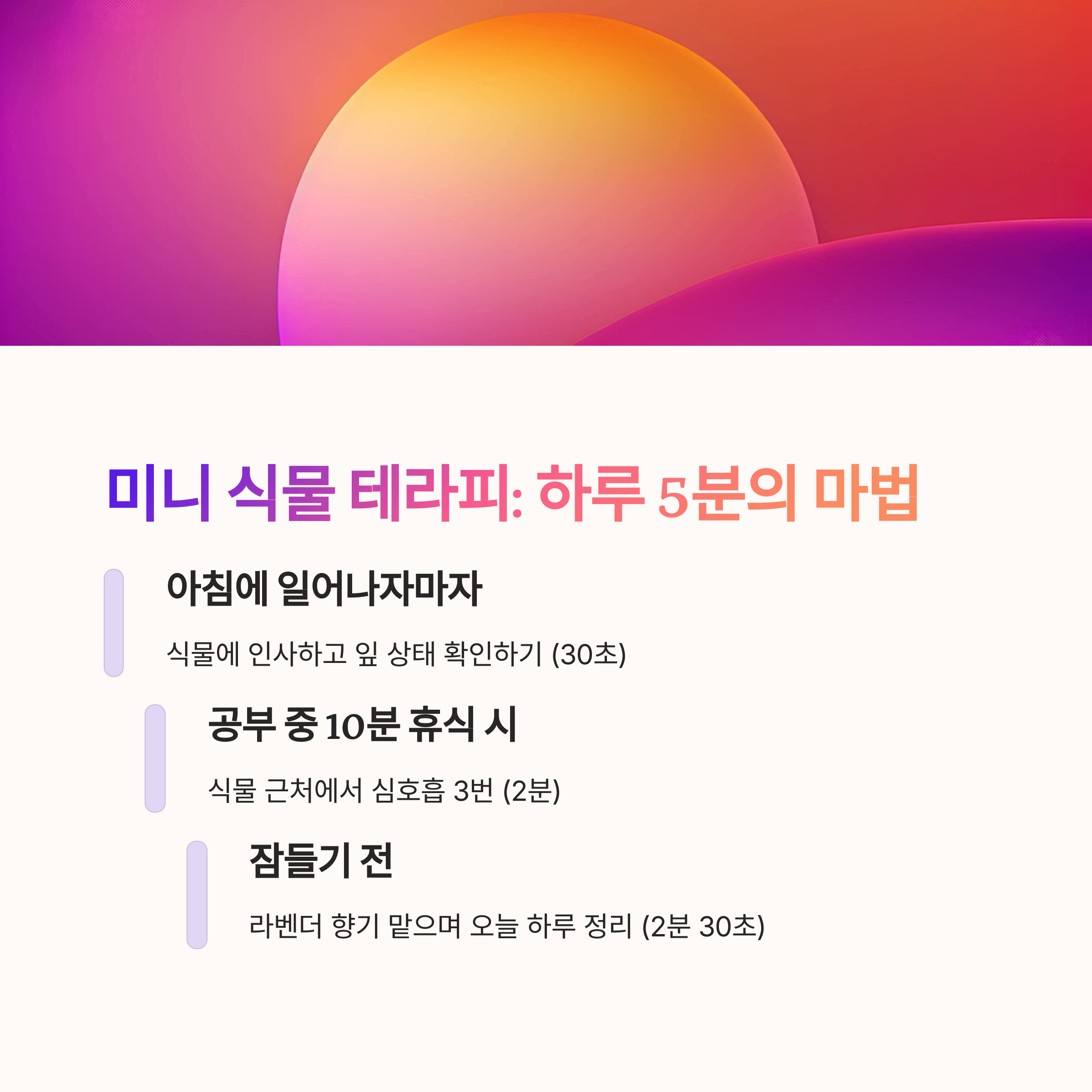 식물이 주는 조용한 회복력