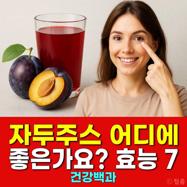 자두주스 어디에 좋은가요 푸룬주스 효능