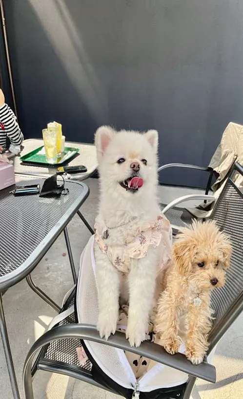 봉덕동 카페 아르토