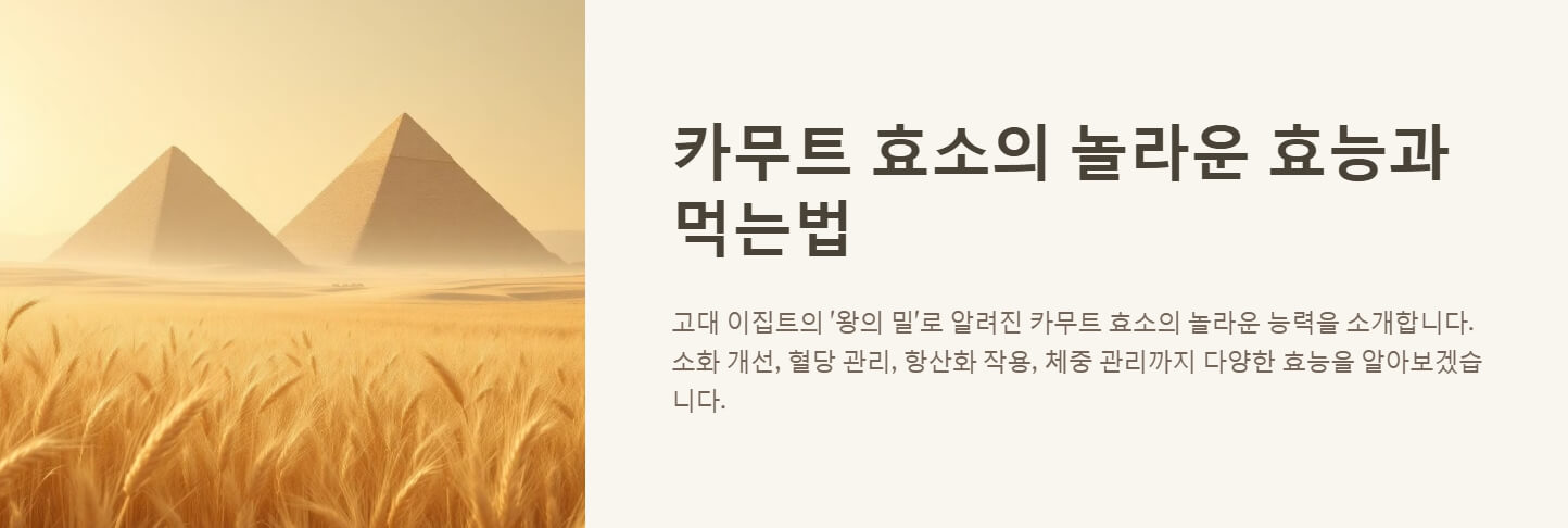 카무트 효소 효능 먹는법