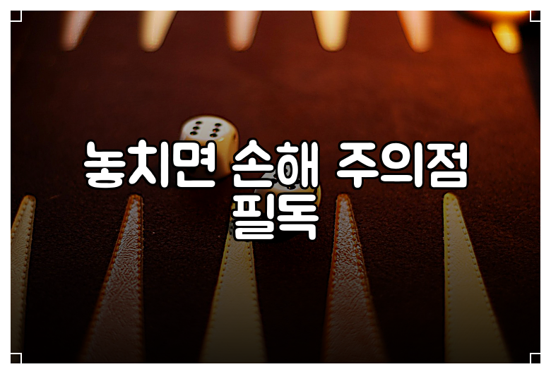 놓치면 손해 주의점 필독