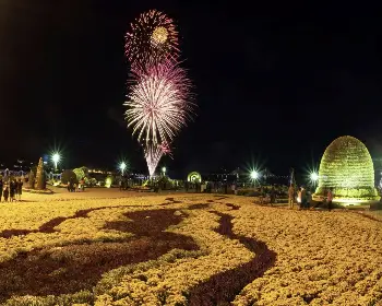 마산 가고파 국화축제_12