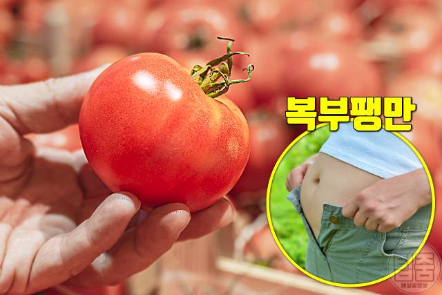빈속에 먹으면 안좋은 음식 토마토