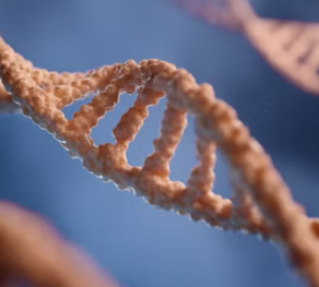 글루타치온 효능 부작용 복용법