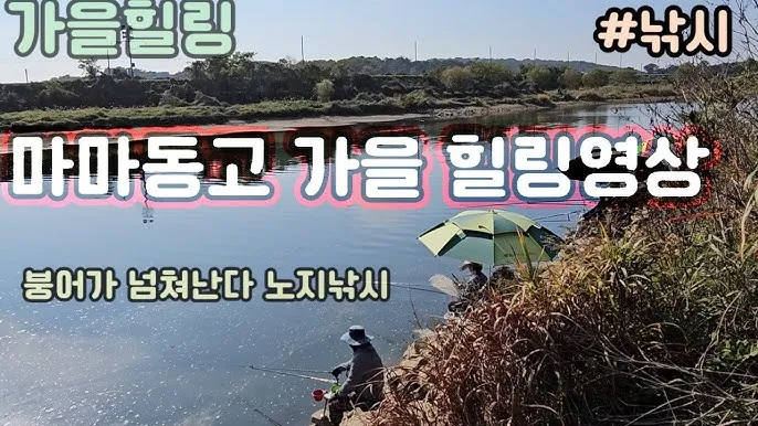 낚시 가을 시즌 추천 쭈꾸미 갑오징어 선상 채비 준비_6