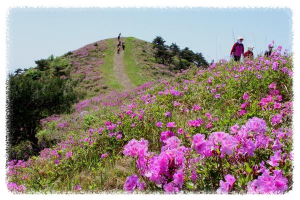 망운산