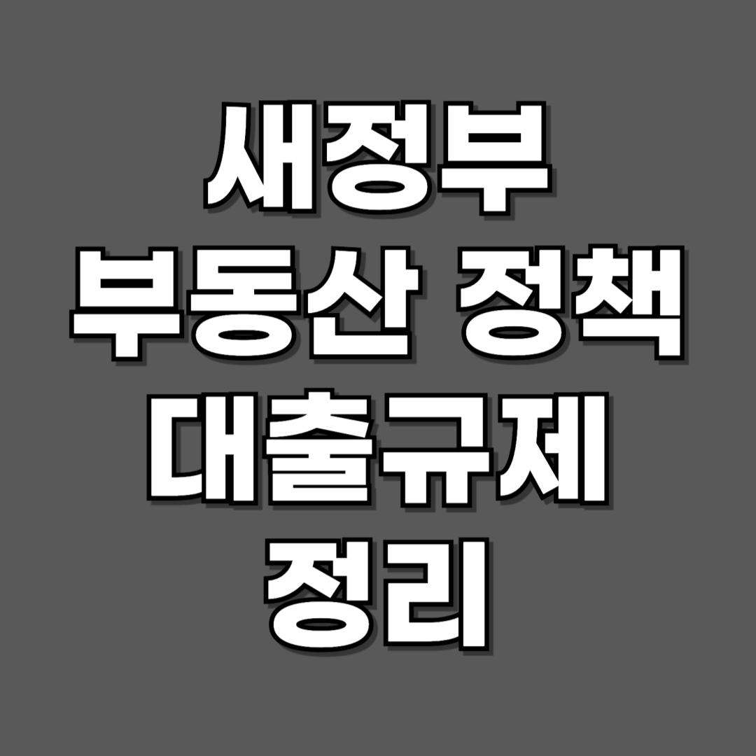 새정부 부동산 정책 대출규제 정리