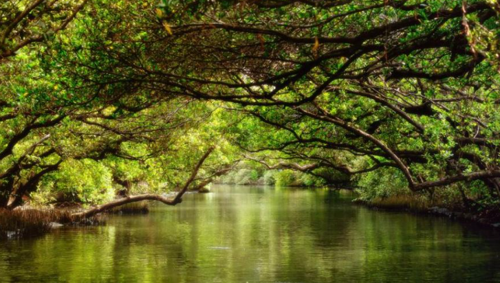 대만 여행코스 영화 촬영지 + 대만 여행 상품 8% 할인쿠폰 kkday