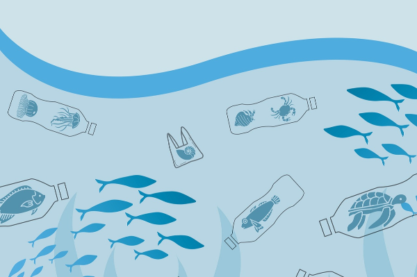 미세 플라스틱 관련 사진