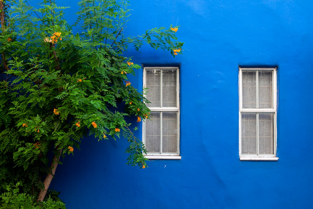 Blue House
