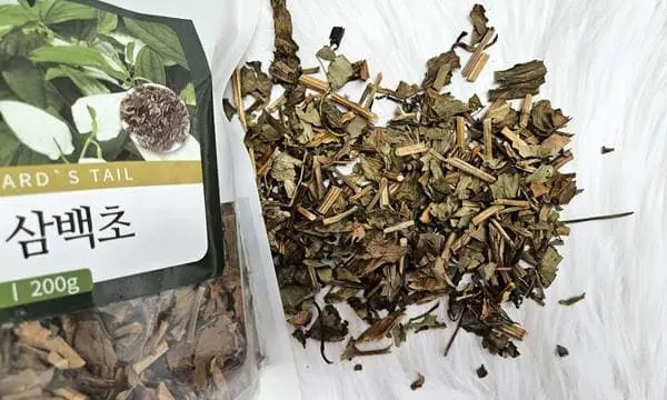 삼백초 추출물 섭취 주의사항